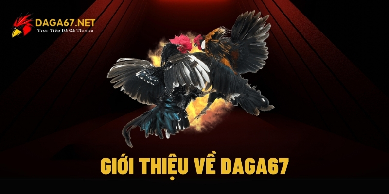daga67 1